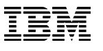 IBM 2022